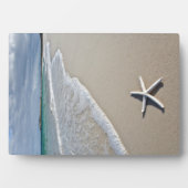 Starfish an einem abgelegenen Strand Fotoplatte (Vorderseite)