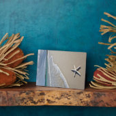 Starfish an einem abgelegenen Strand Fotoplatte (Seite)