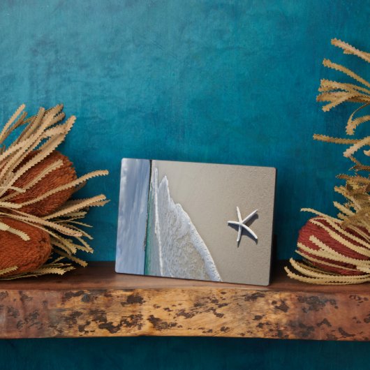 Starfish an einem abgelegenen Strand Fotoplatte (Seite)