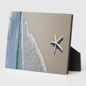 Starfish an einem abgelegenen Strand Fotoplatte (Seite)