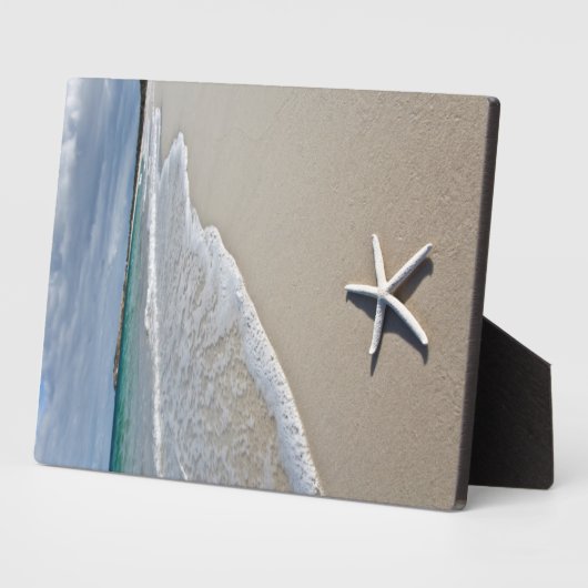 Starfish an einem abgelegenen Strand Fotoplatte (Seite)