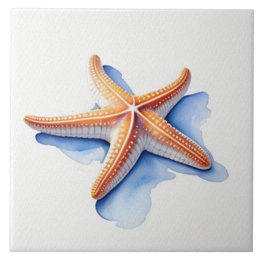 Starfish and Blue Silhouette Fliese (Vorderseite)