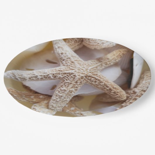 Starfish and Sand Dollars Elegant Pappteller (Schrägansicht)