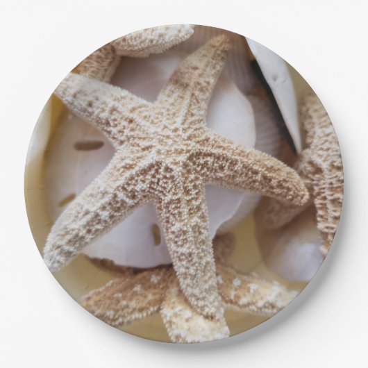 Starfish and Sand Dollars Elegant Pappteller (Vorderseite)