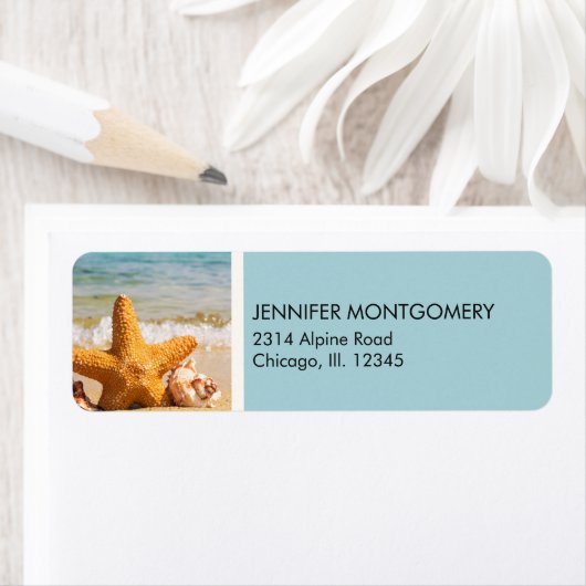 Starfish and Seashells am Strand (Insitu)