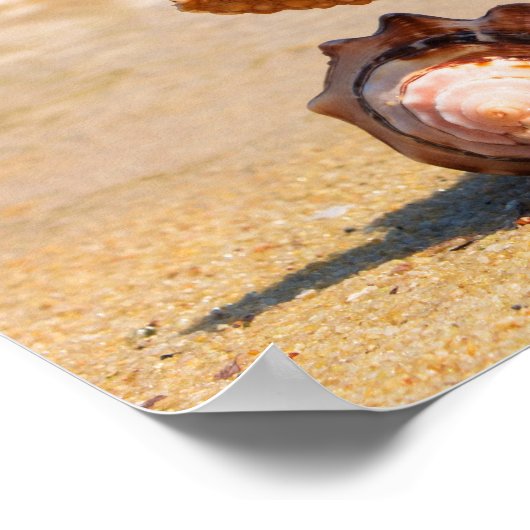 Starfish and Seashells am Strand Poster (Ecke)