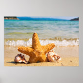 Starfish and Seashells am Strand Poster (Vorne)