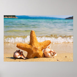 Starfish and Seashells am Strand Poster