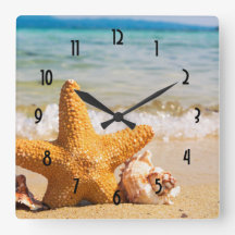 Starfish and Seashells am Strand