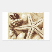 Starfish and Seashells Stickers (Vorderseite)