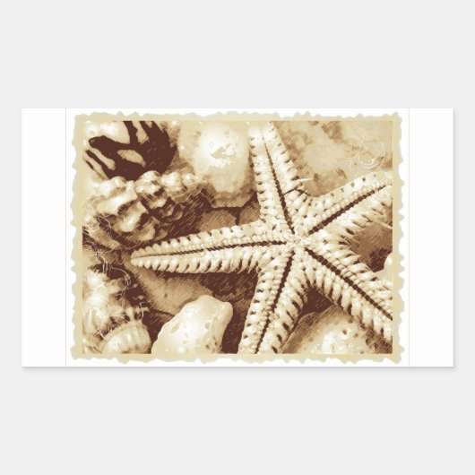 Starfish and Seashells Stickers (Vorderseite)
