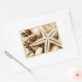 Starfish and Seashells Stickers