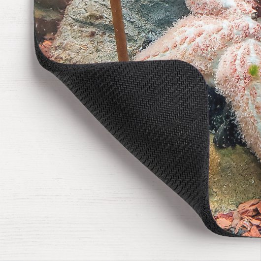 Starfish auf aquatischer Pflanze Mousepad (Ecke)