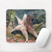 Starfish auf aquatischer Pflanze Mousepad (Mit Mouse)
