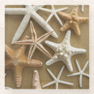 Starfish auf dem Sand Glasuntersetzer