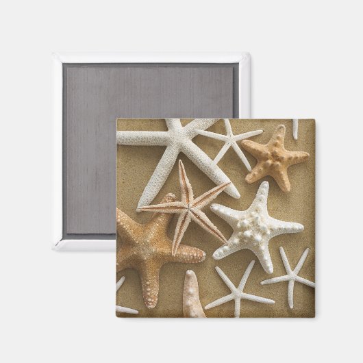 Starfish auf dem Sand Magnet (Vorderseite/Rückseite)