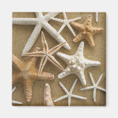 Starfish auf dem Sand Magnet (Vorne)