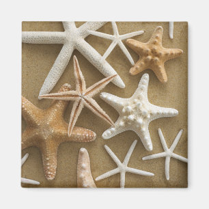 Starfish auf dem Sand Magnet