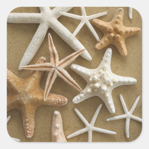 Starfish auf dem Sand Quadratischer Aufkleber