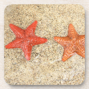 Starfish auf dem Strand, am Rand des Ozeans Untersetzer