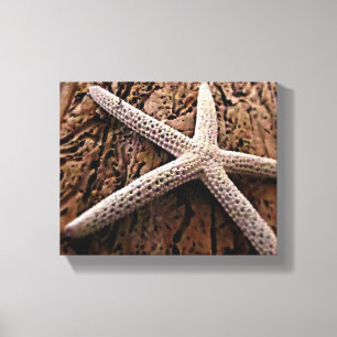 Starfish auf Driftwood Leinwanddruck