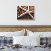 Starfish auf Driftwood Leinwanddruck (Insitu (Schlafzimmer))