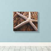 Starfish auf Driftwood Leinwanddruck (Insitu (Holzboden))