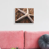 Starfish auf Driftwood Leinwanddruck (Insitu (Wohnzimmer))