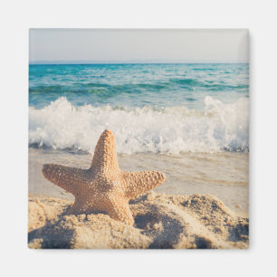 Starfish auf einem Sandy Beach Foto Magnet