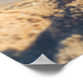 Starfish auf einem Sandy Beach Foto Poster (Ecke)