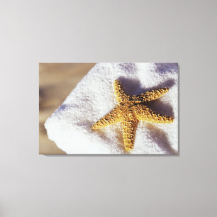 Starfish auf einem Tuch Leinwanddruck
