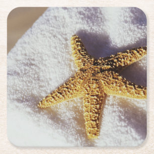 Starfish auf einem Tuch Rechteckiger Pappuntersetzer