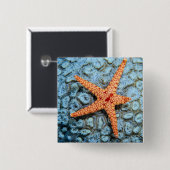 Starfish auf einer Koralle mit Polips Button (Vorne & Hinten)