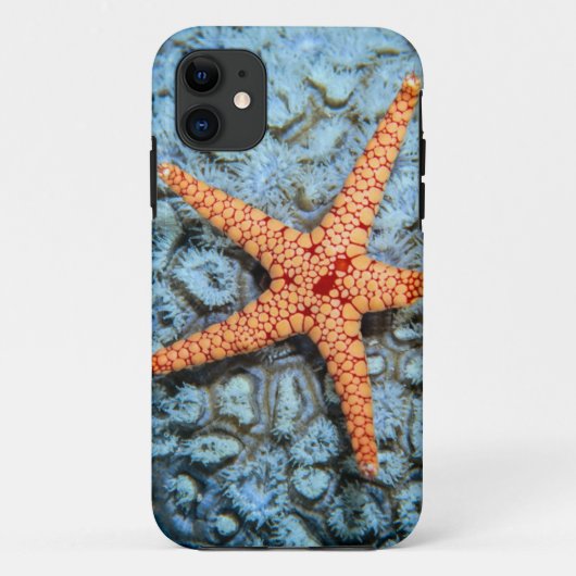 Starfish auf einer Koralle mit Polips Case-Mate iPhone Hülle (Rückseite)