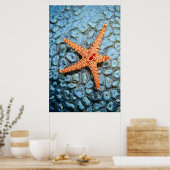 Starfish auf einer Koralle mit Polips Poster (Küche)
