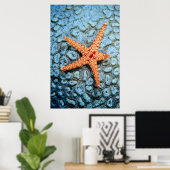Starfish auf einer Koralle mit Polips Poster (Heimbüro)