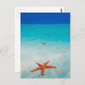Starfish auf einer Sanddüne unter Wasser Postkarte (Vorne/Hinten)