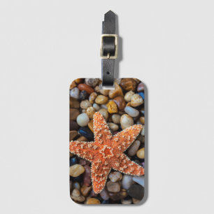 Starfish auf Felsen Gepäckanhänger