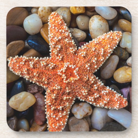 Starfish auf Felsen Getränkeuntersetzer (Vorderseite)