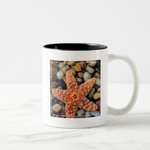 Starfish auf Felsen Zweifarbige Tasse