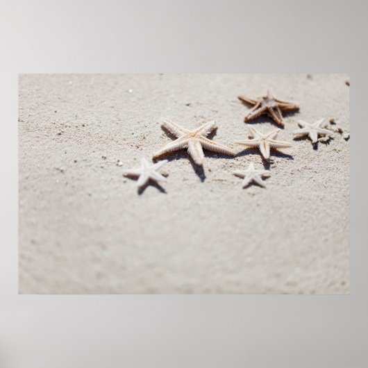 Starfish auf Sand Poster (Vorne)