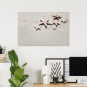 Starfish auf Sand Poster (Heimbüro)
