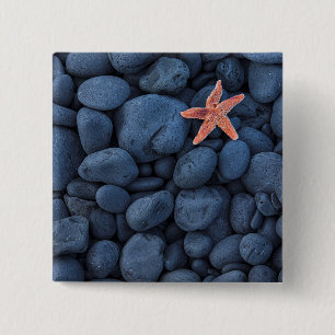 Starfish auf schwarzen Felsen entlang der Küste Button