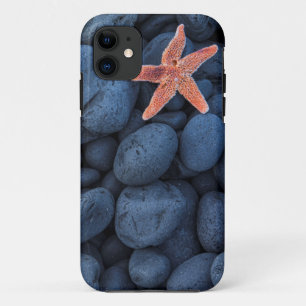 Starfish auf schwarzen Felsen entlang der Küste Case-Mate iPhone Hülle