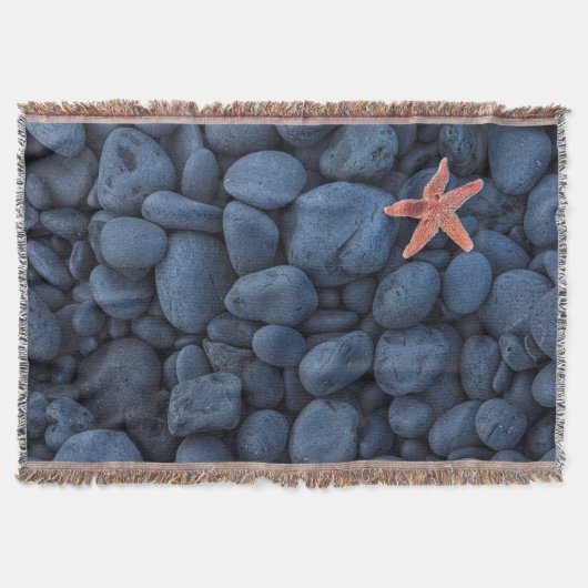Starfish auf schwarzen Felsen entlang der Küste | Decke (Vorderseite)