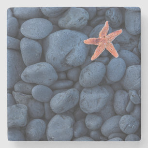 Starfish auf schwarzen Felsen entlang der Küste   Steinuntersetzer
