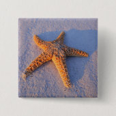 Starfish auf weißem Sand Button (Vorderseite)