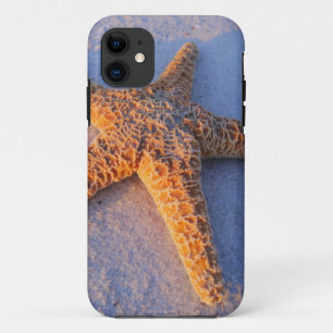 Starfish auf weißem Sand iPhone 11 Hülle