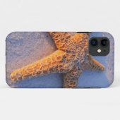 Starfish auf weißem Sand Case-Mate iPhone Hülle (Rückseite (Horizontal))