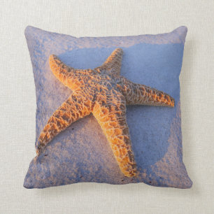 Starfish auf weißem Sand Kissen